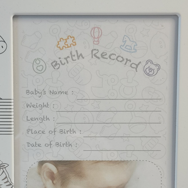 Silver Noah's Ark Baby Birth Record Photo Frame