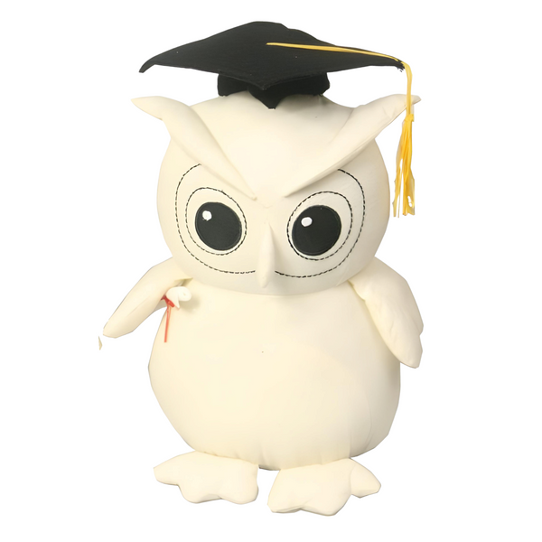 Graduation Message Signature Owl & Pen- 20cm