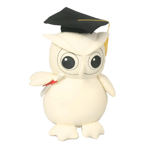 Graduation Message Signature Owl & Pen- 20cm