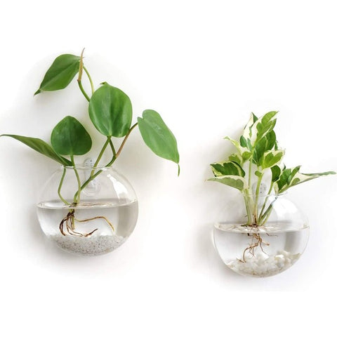 Wall Hanging Planter Glass Hydroponic Vase Plant Pot Terrarium Ball 15cm Hanging Glass Terrariums Planter Flower Vase for Hydroponics Plants, Home Office Living Room Decor, Set of 2 Glass Planters Wall Vase Hanging Planters Round Glass Plant Pots Hanging Air Plant Pots Flower Vase Air Plant Terrariums Wall Hanging Plant Container