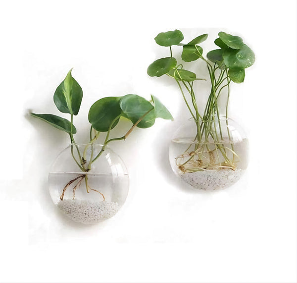 Wall Hanging Planter Glass Hydroponic Vase Plant Pot Terrarium Ball 15cm Hanging Glass Terrariums Planter Flower Vase for Hydroponics Plants, Home Office Living Room Decor, Set of 2 Glass Planters Wall Vase Hanging Planters Round Glass Plant Pots Hanging Air Plant Pots Flower Vase Air Plant Terrariums Wall Hanging Plant Container